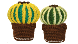 Como hacer cactus amigurumi tejido a crochet